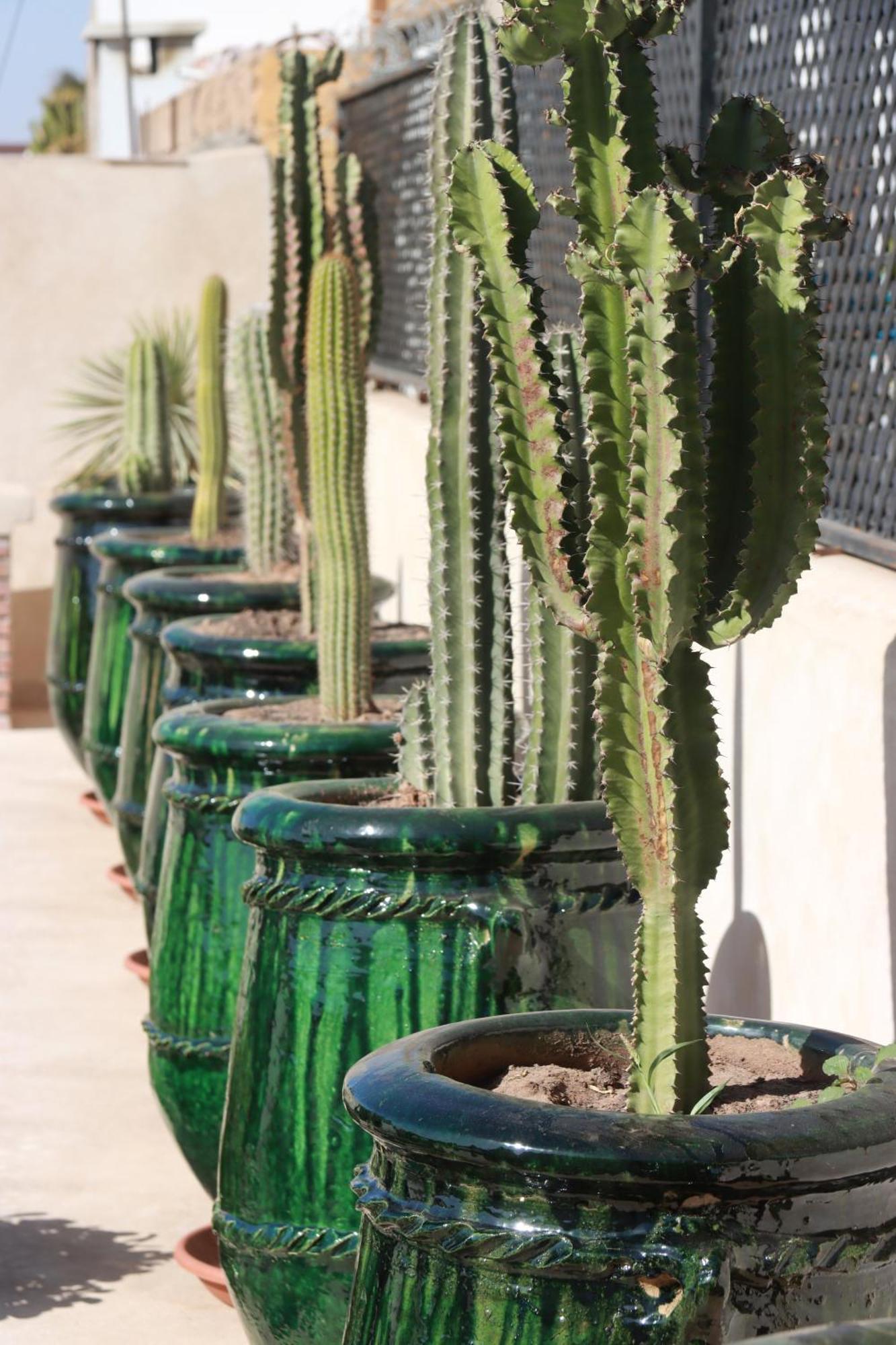 Riad Valentine Marrakesz Zewnętrze zdjęcie